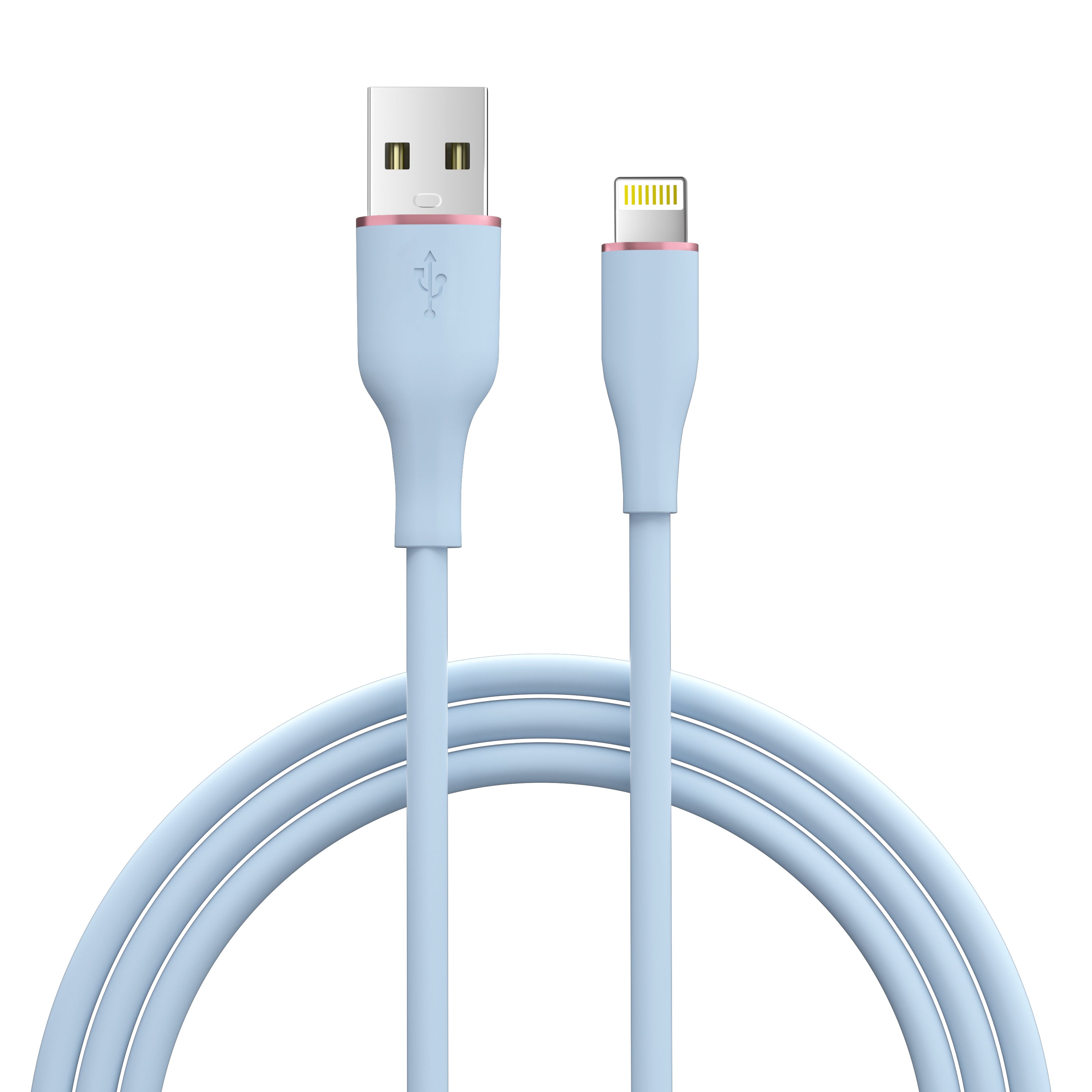 LAX Apple MFi Certified Braided Iphone Cable - 10 Feet