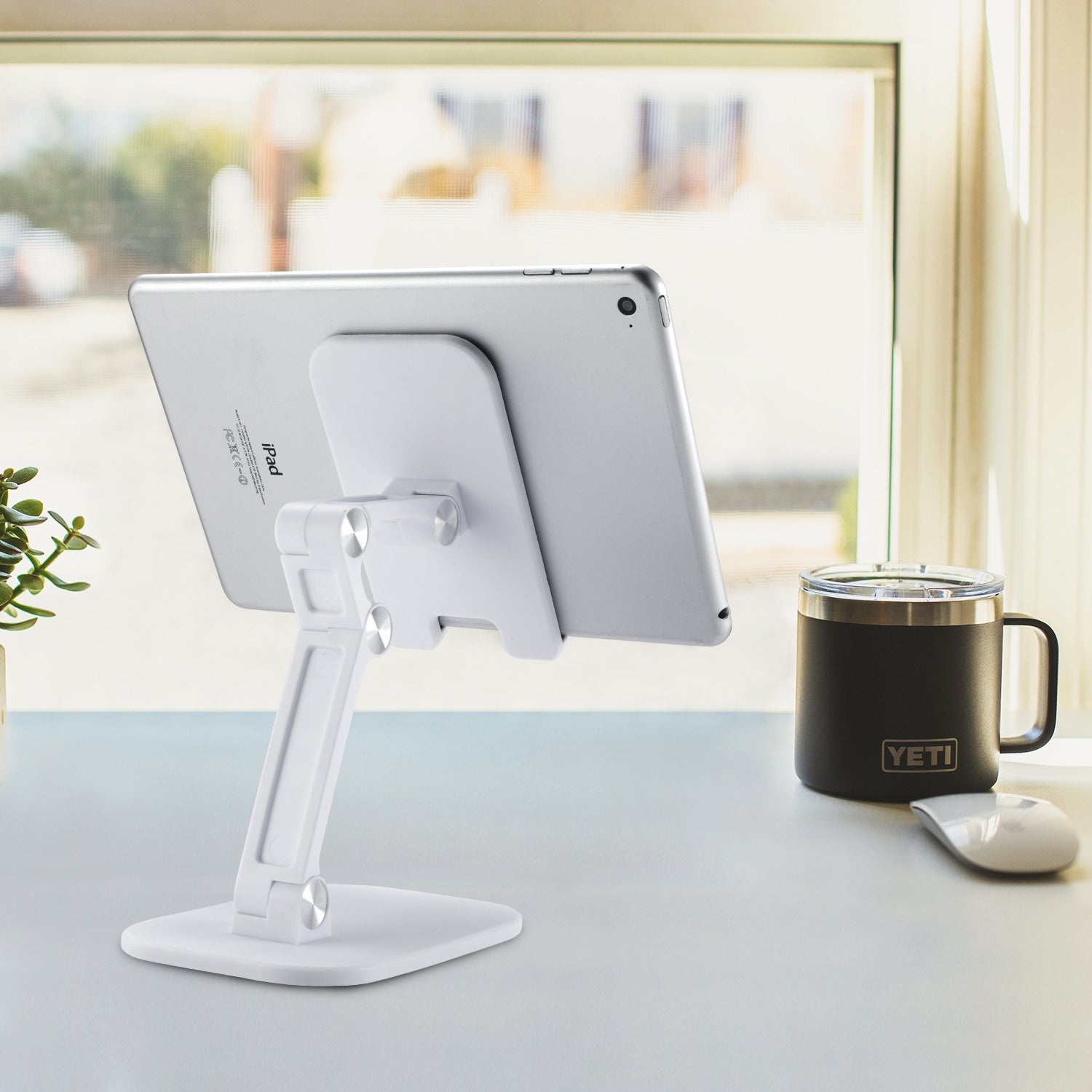 Foldable Tablet and Phone Stand